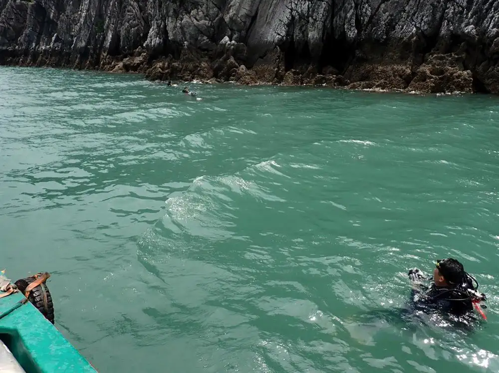 Giám sát rác thải nhựa san hô đợt 1 năm 2025